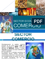 Sector Comercio