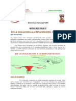 De La Ovulacion A La Implantacion