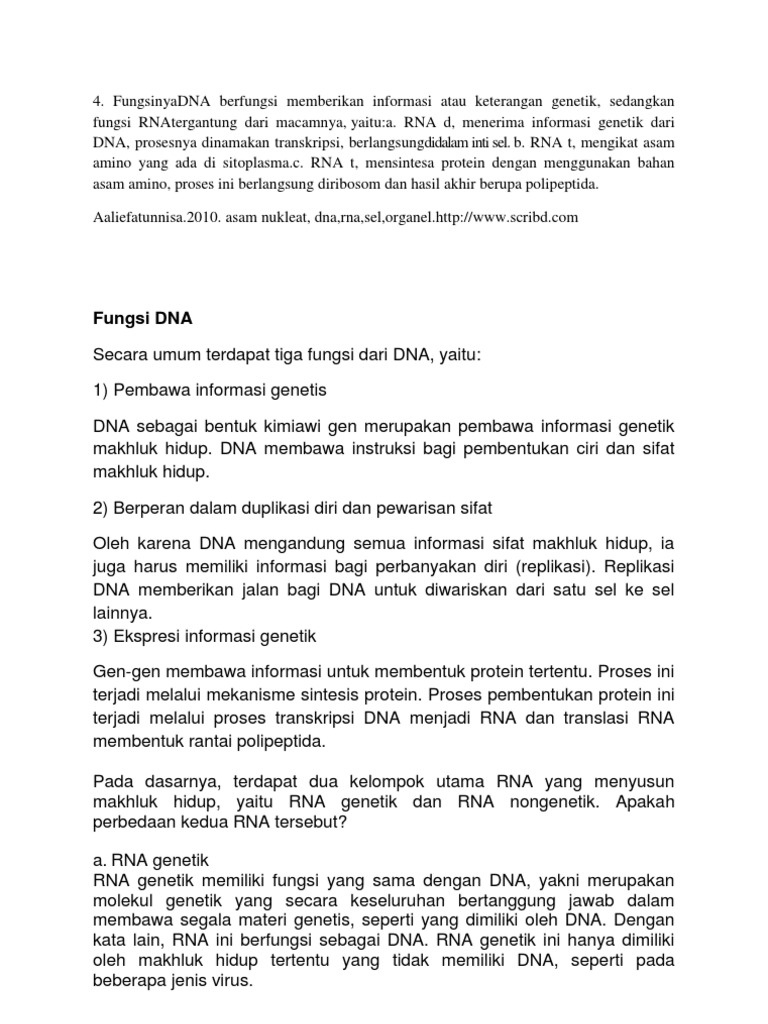 Perbedaan Dna Dan Rna Beserta Pengertian Dan Fungsinya