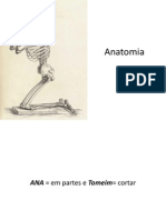 Anatomia