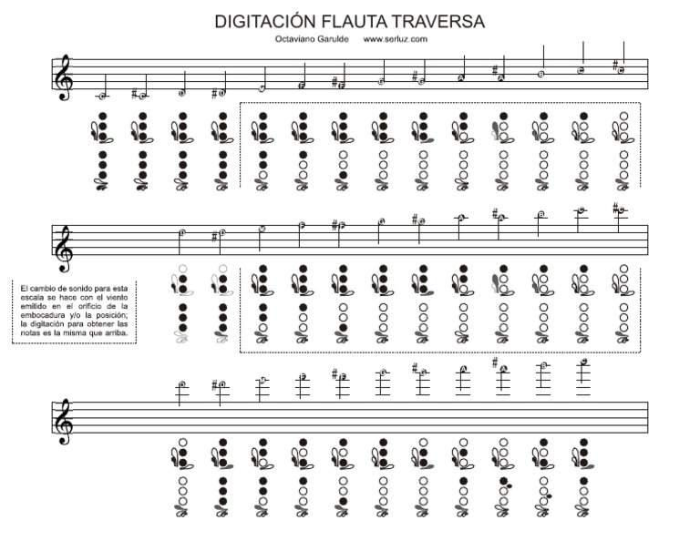 Digitación de Flauta Traversera | PDF