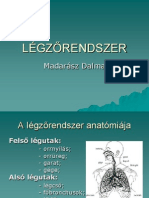 LÉGZŐRENDSZER