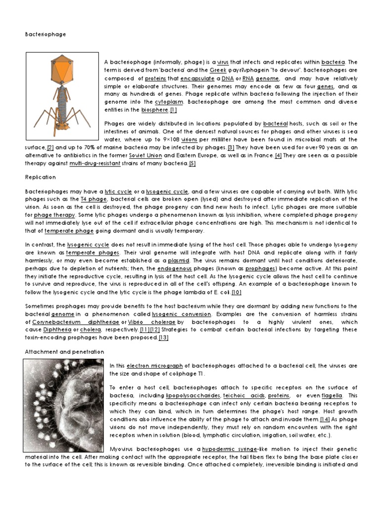 Bacteriophage (Definition, Parts and Function) Bacteriophage Virus