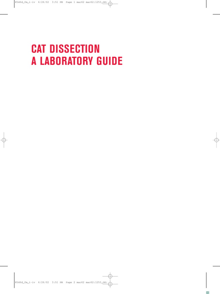 Cat Dissection Guide | PDF