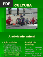 A CULTURA
