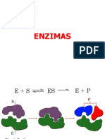 Tema 5 -Enzimas2