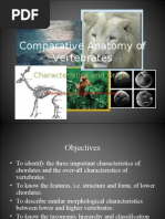 Download Origin and Characteristics of Vertebrates by Ian Kenneth Cabrera SN15208526 doc pdf