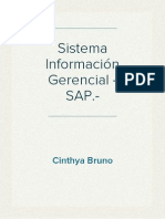 Sistema Información Gerencial - SAP.