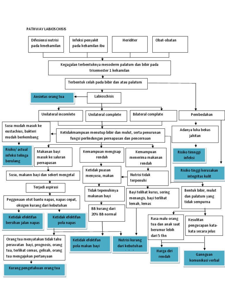 Pathway Labioschisis dan Dampaknya | PDF