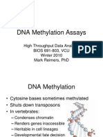 4 - DNA Methylation Assays