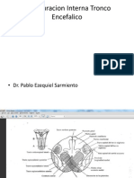 Configuracion Interna Tronco