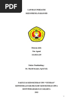 Download LAPORANKASUSSKIZOFRENIAPARANOIDbyNurAgamiSN152211634 doc pdf