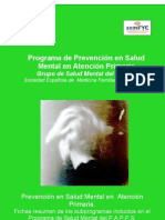 Fichas Resumen Salud Mental