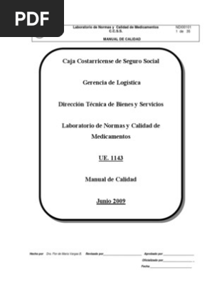 Manual Descriptivo De Puestos Ccss 2009