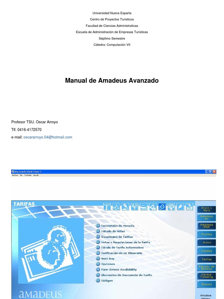 Manual Avanzado de Amadeus TTI | PDF | aerolíneas | Transporte