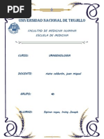 Download CALCIFICACIONES RENALES Y DE LA VA URINARIA by Joseph Sipiran Reyes SN152292459 doc pdf