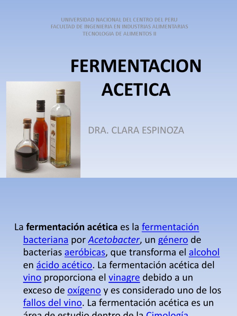 Fermentacion Acetica Vinagre Química