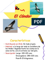 El cóndor (Jose Luis Chávez Muñoz).ppt