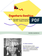 Engenharia Genética