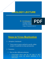 Steps in Virus Replication