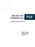 Societate Comerciala - Activitate