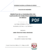 Perspectivas de La Cogeneración Con Gasificación de Combustibles Residuales en México