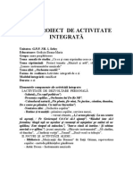 Proiect Activitate Integrata