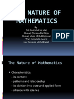 The Nature of Mathematics