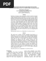 Download Analisis Potensi Metabolit Sekunder Sebagai Biopestisida Hama Ulat Krop Kubis Crocidolomia binotalis by Raiwata Mertanjaya SN152388882 doc pdf