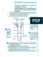 The Process of Reabsorption