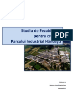 Studiu_de_fezabilitate_Hincesti_rom.pdf