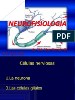 1 Clase Neurofisiologia