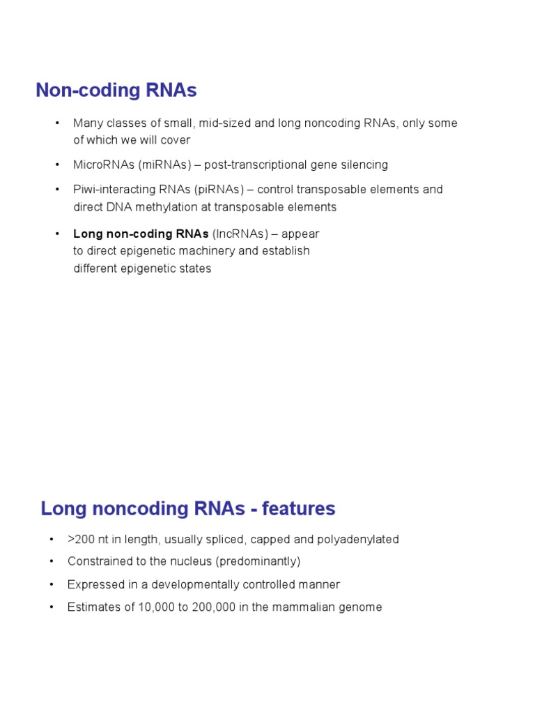 Long Noncoding RNAs: Functions & Mechanisms | PDF