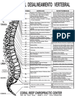 Columna Vertebral Sintomas y Enfermedades