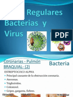 Virus - Bacterias Clase 2