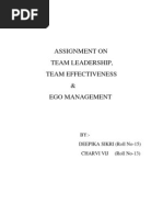 Assignment On Team Leadership, Team Effectiveness & Ego Management