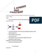 asam amino dan protein.doc