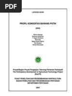 Download Profil Komoditas Bawang Putih by vicianti1482 SN15249514 doc pdf