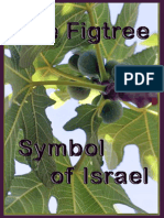 The Fig Tree - A Symbol of Israel