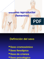 09 Genital Femenino