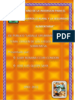 Aida Navarro Redon 02 | PDF | Juegos de consolas | Nintendo