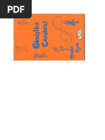 Brain Gym  -  Ginástica Cerebral