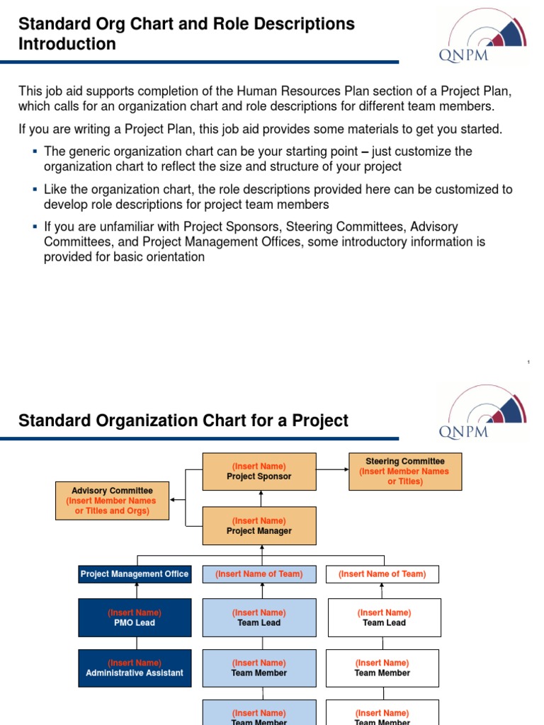 Project Org Chart & Role Descriptions | PDF | Project Management | Risk ...