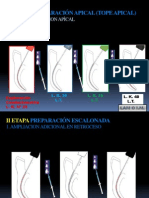 Tecnica Apicocoronal