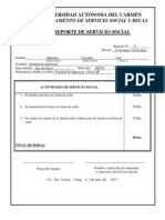 Quinto Reporte Del Servicio Social PDF