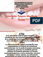 Articulacin Temporo Mandibular (ATM).ppt