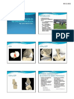 CLASE 5, REHABILITACIÓN EN RECONSTRUCCIÓN DE LCAx