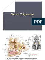 NerviEncefalici.pdf