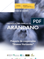 136027679 Guia Del Arandano