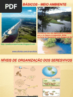 CONCEITOS       BÁSICOS-CADEIA-FLUXO